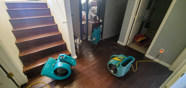 Best Basement water damage restoration  in Day Heights, OH