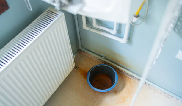 Best Water damage restoration near me  in Day Heights, OH